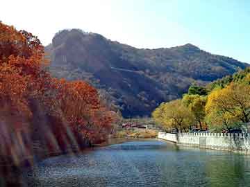 澳门二四六天天彩图库，电器托运